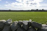 Cjp_2017-03-21_142840 (2).jpg